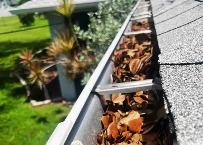 McDonough gutter cleaning home page